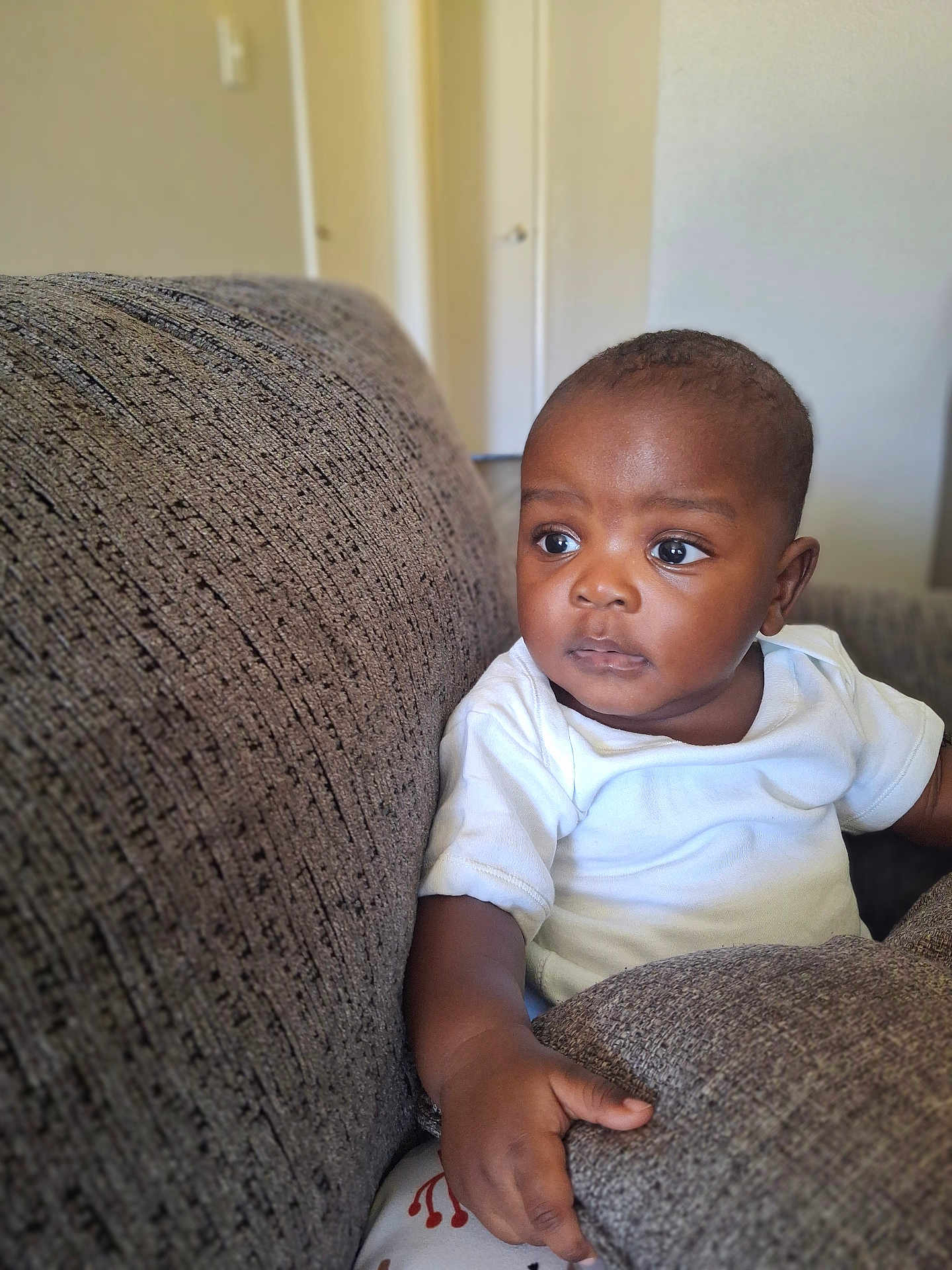 Orion joined the competition — help win amazing prizes! baby, child, toddler, couch, cushion, white_shirt, indoor, furniture, curious, seated, portrait, hand, skin, face, eyes, expression, home, relaxed, young_child, casual