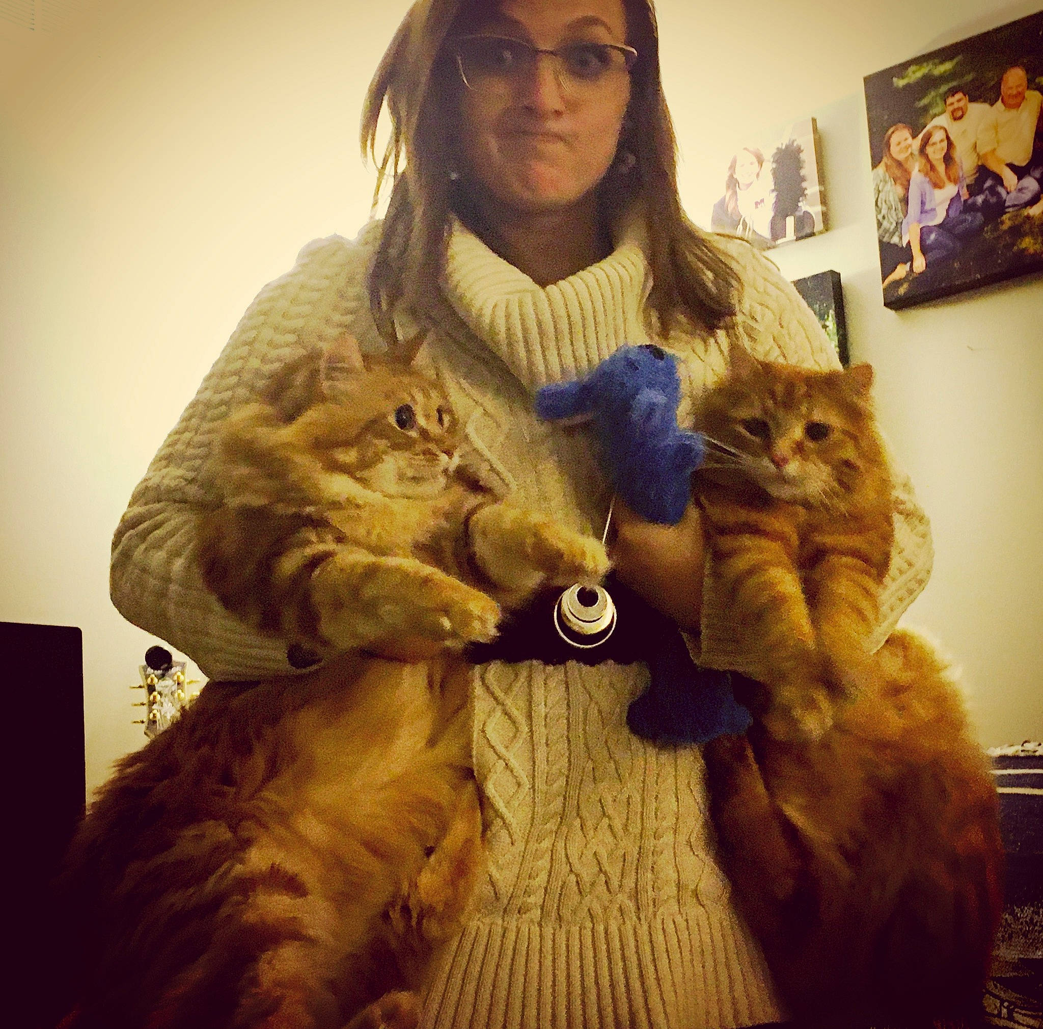 Jimmy is registered to the contest to win money with this photo: carnivore, cat, eye, felidae, fur, fur_clothing, jacket, pixie_bob, small_to_medium_sized_cats, tabby_cat, whiskers