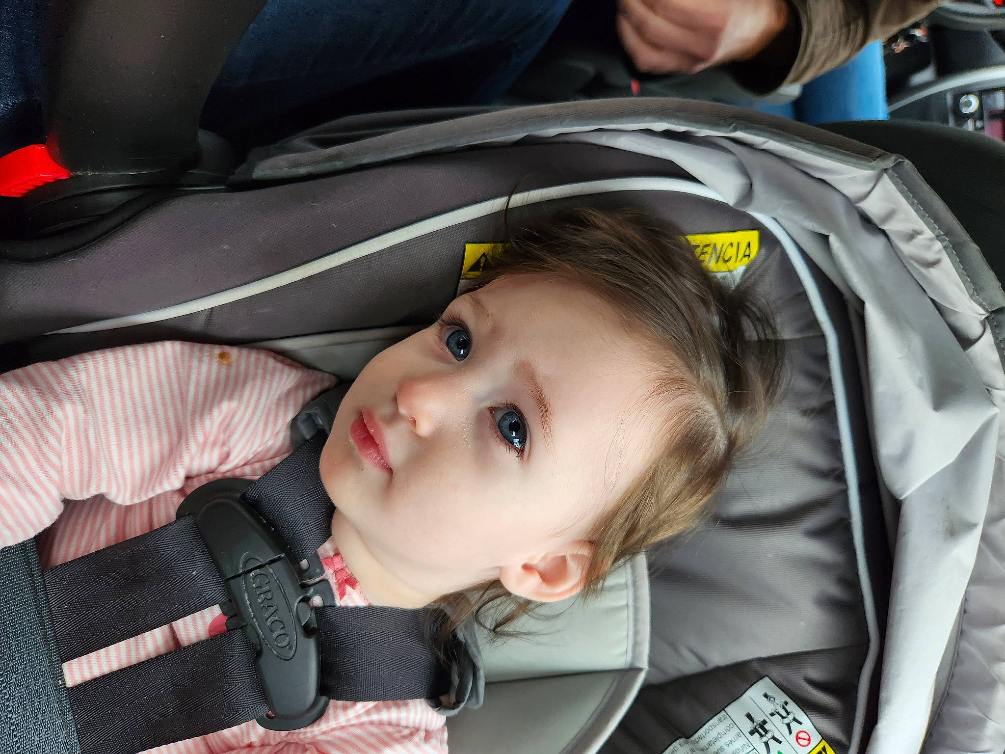 Ada is registered to the contest to win money with this photo: auto_part, automotive_design, baby, baby_carriage, baby_products, car_seat, cheek, child, comfort, fun, luxury_vehicle, motor_vehicle, person, plaid, plant, toddler, tree