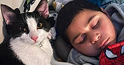Rextire is registered to the contest to win money with this photo: cat, child, sleeping, indoor, bedroom, blanket, black_and_white, feline, face, cute, resting, toy, wall_sticker, peaceful, cozy, young, comfort, spiderman, nap, home