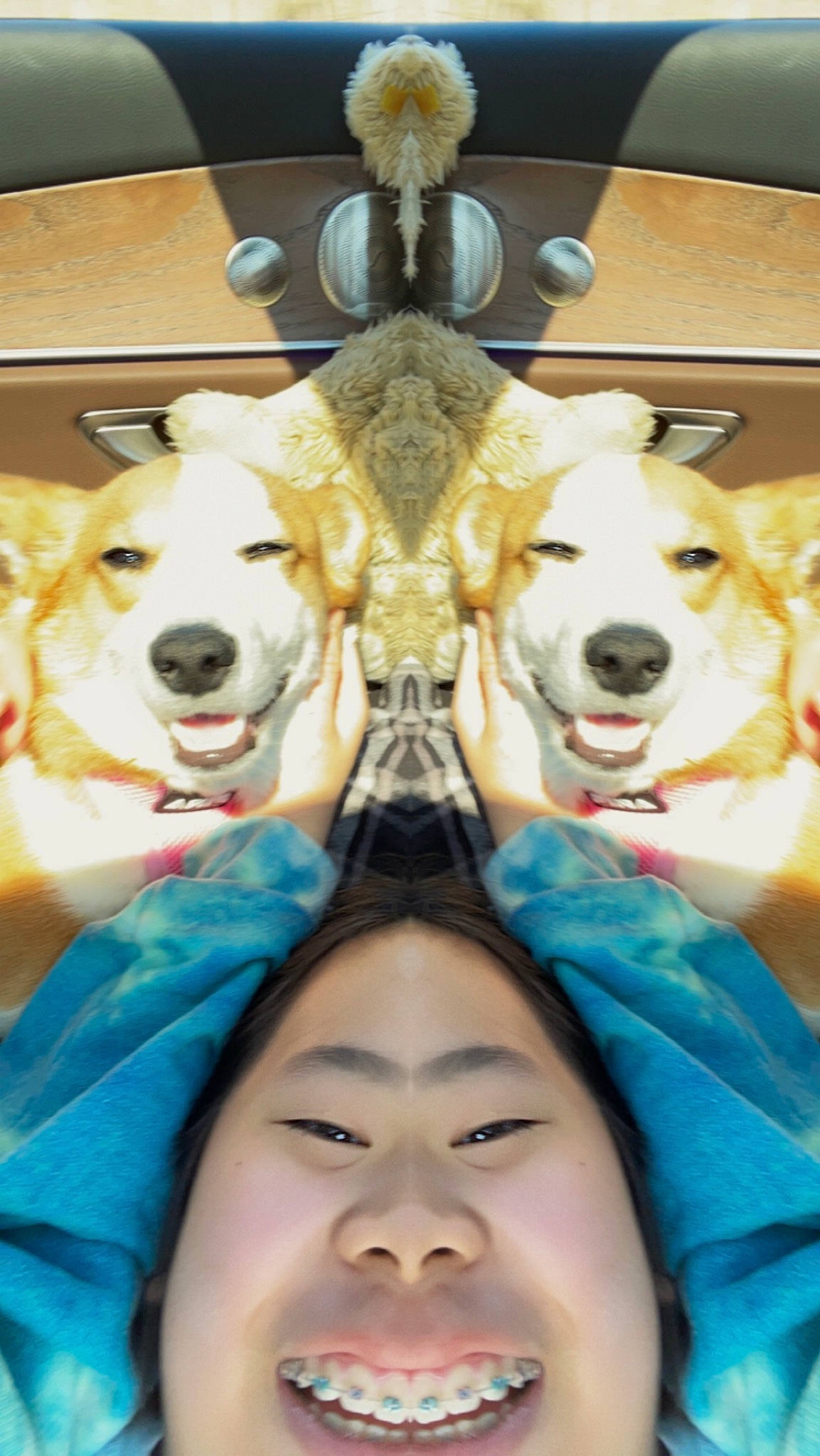 Winnie is registered to the contest to win money with this photo: carnivore, companion_dog, cool, dog, dog_breed, event, eyewear, fashion_accessory, fun, fur, gesture, happy, leisure, photo_caption, recreation, selfie, symmetry, textile, whiskers, white