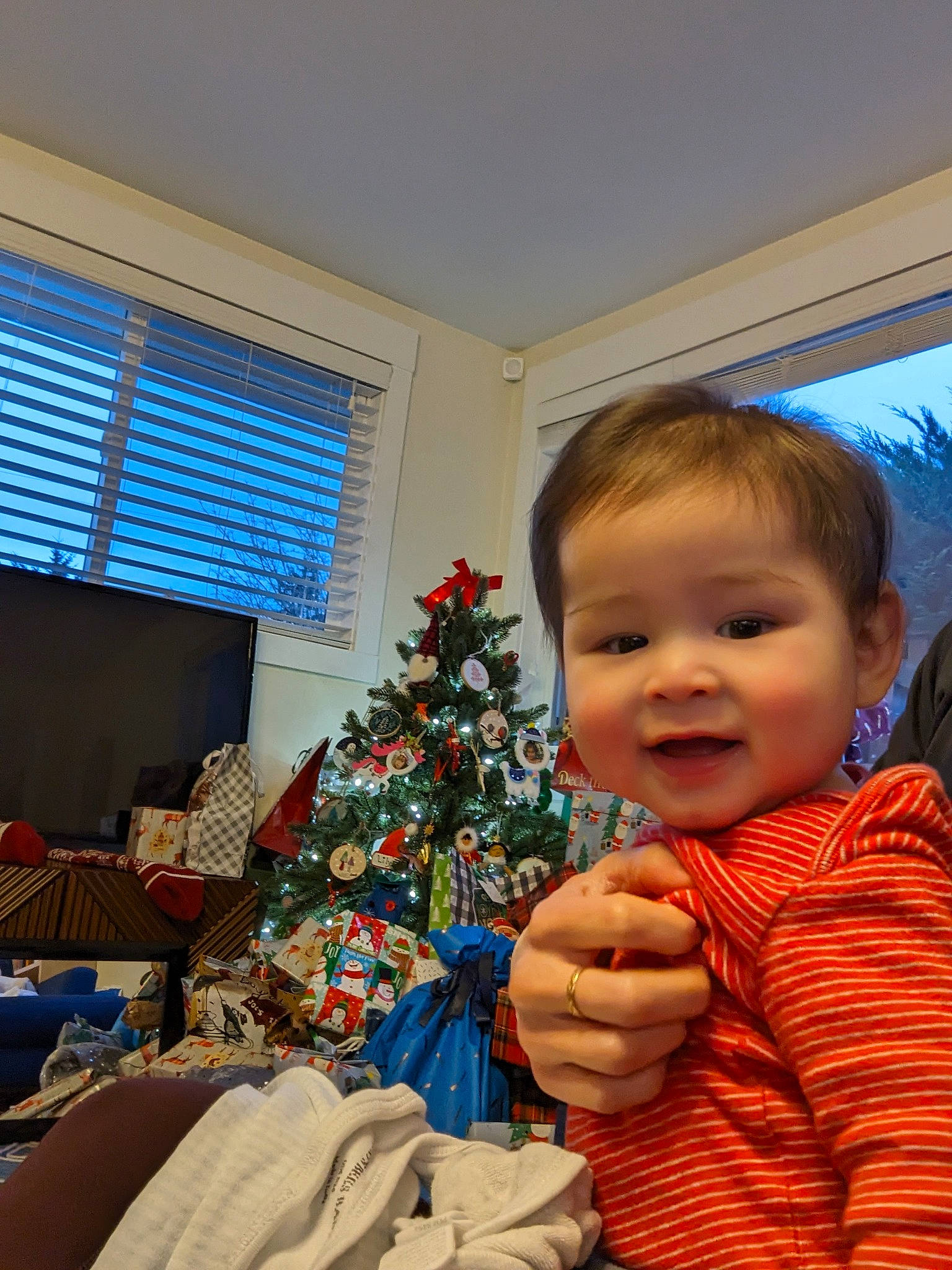 Tom joined the competition — help win amazing prizes! baby, child, christmas, christmas_decoration, christmas_eve, christmas_ornament, christmas_tree, event, fun, happy, holiday, joy, lap, ornament, person, room, smile, toddler, tree, window