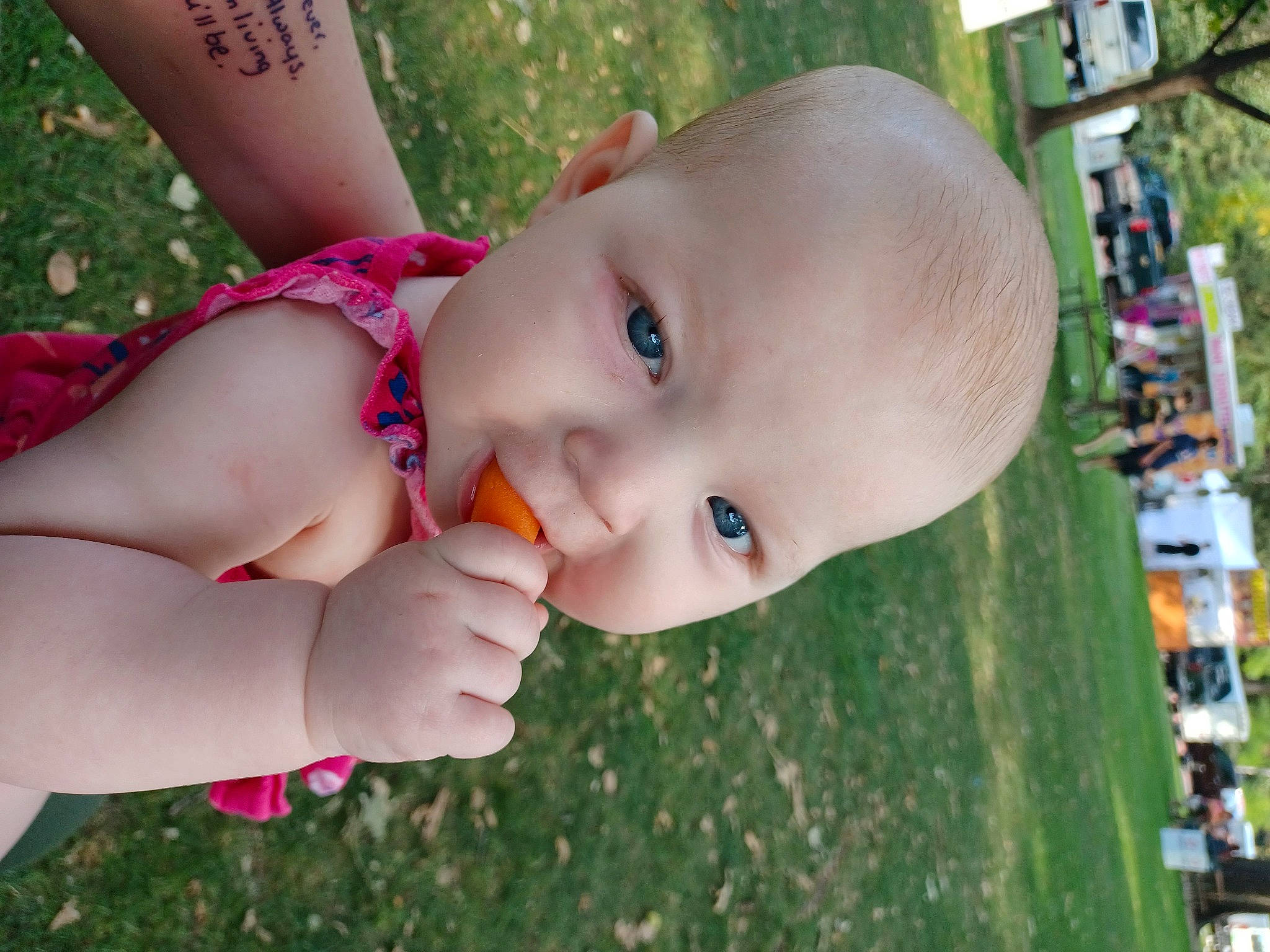 Edelweiss is registered to the contest to win money with this photo: baby, baby_toddler_clothing, cheek, child, eye, fun, grass, happy, human_body, leaf, leisure, lip, nose, people_in_nature, person, plant, recreation, skin, smile, toddler