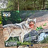 child, baby, wolf_cutout, zoo, outdoor, trees, rocks, headband, face_cutout, sign, nature, photoboard, playful, curious, greenery, person, footwear, ground, background, fun