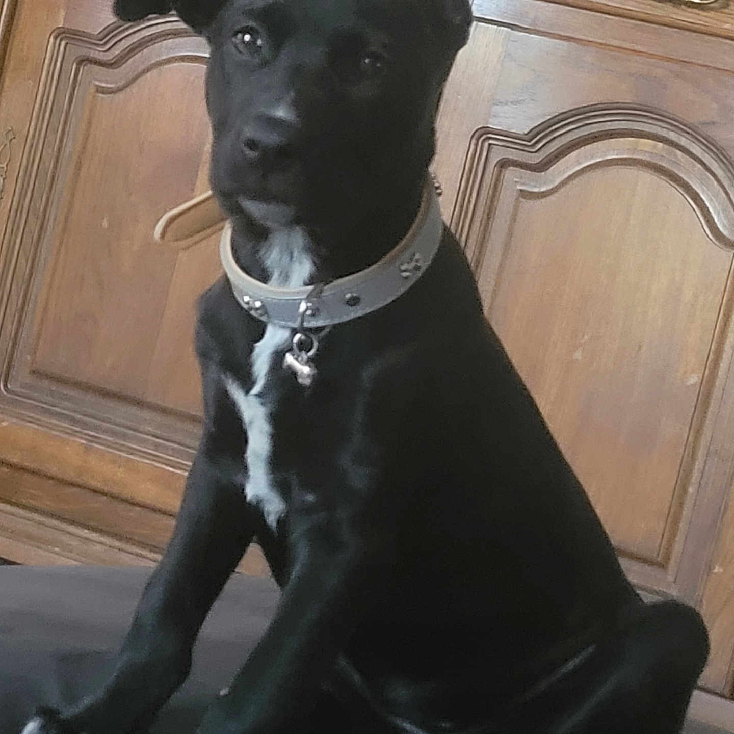 Blanca