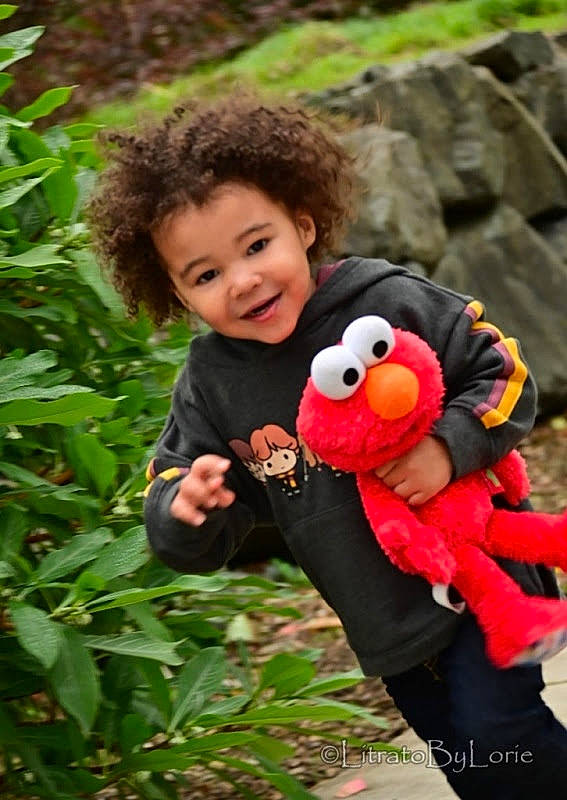 Jace joined the competition — help win amazing prizes! baby_toddler_clothing, baby_toys, fur, joy, mascot, people_in_nature, person, plush, stuffed_toy, terrestrial_plant, toy