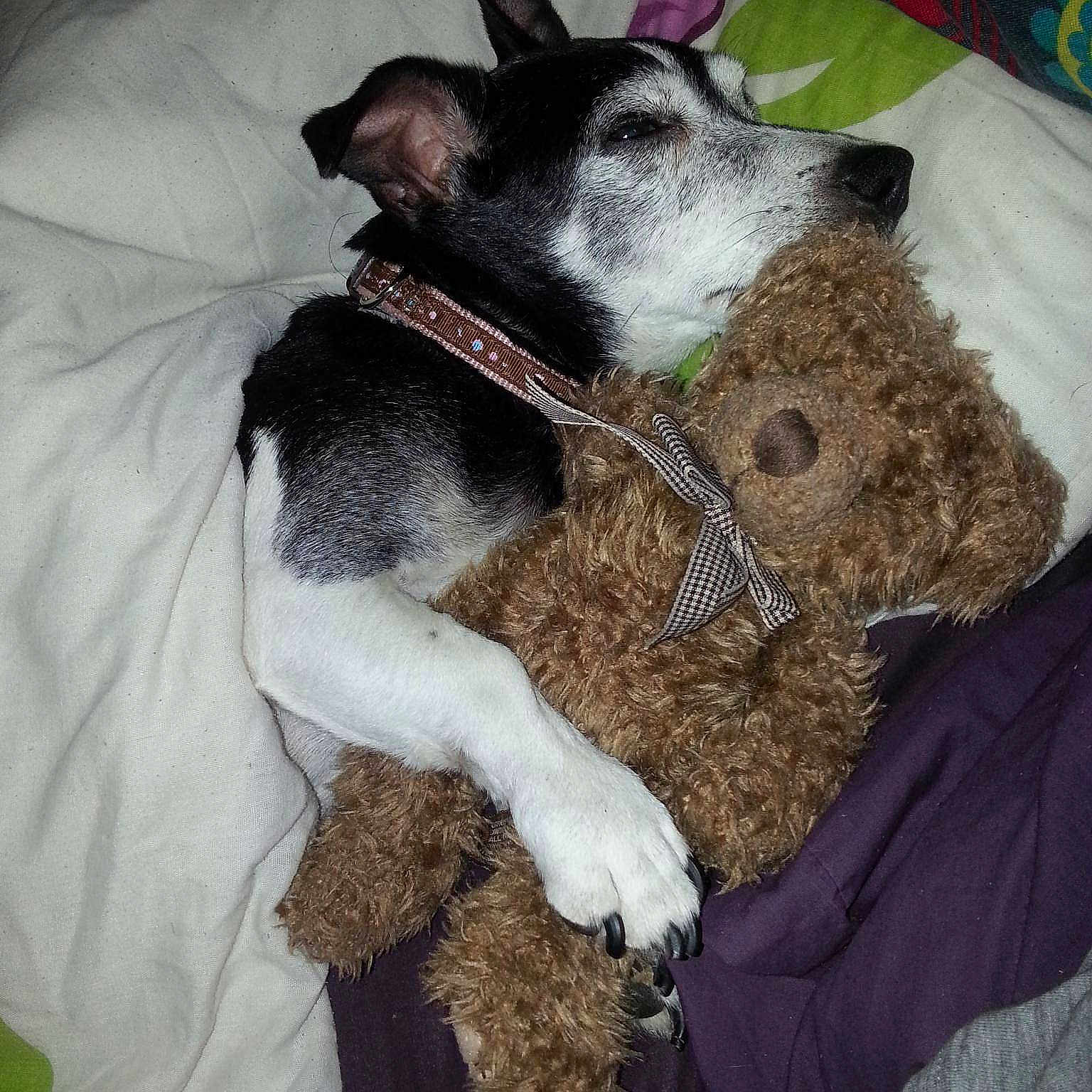 Molly joined the competition — help win amazing prizes!