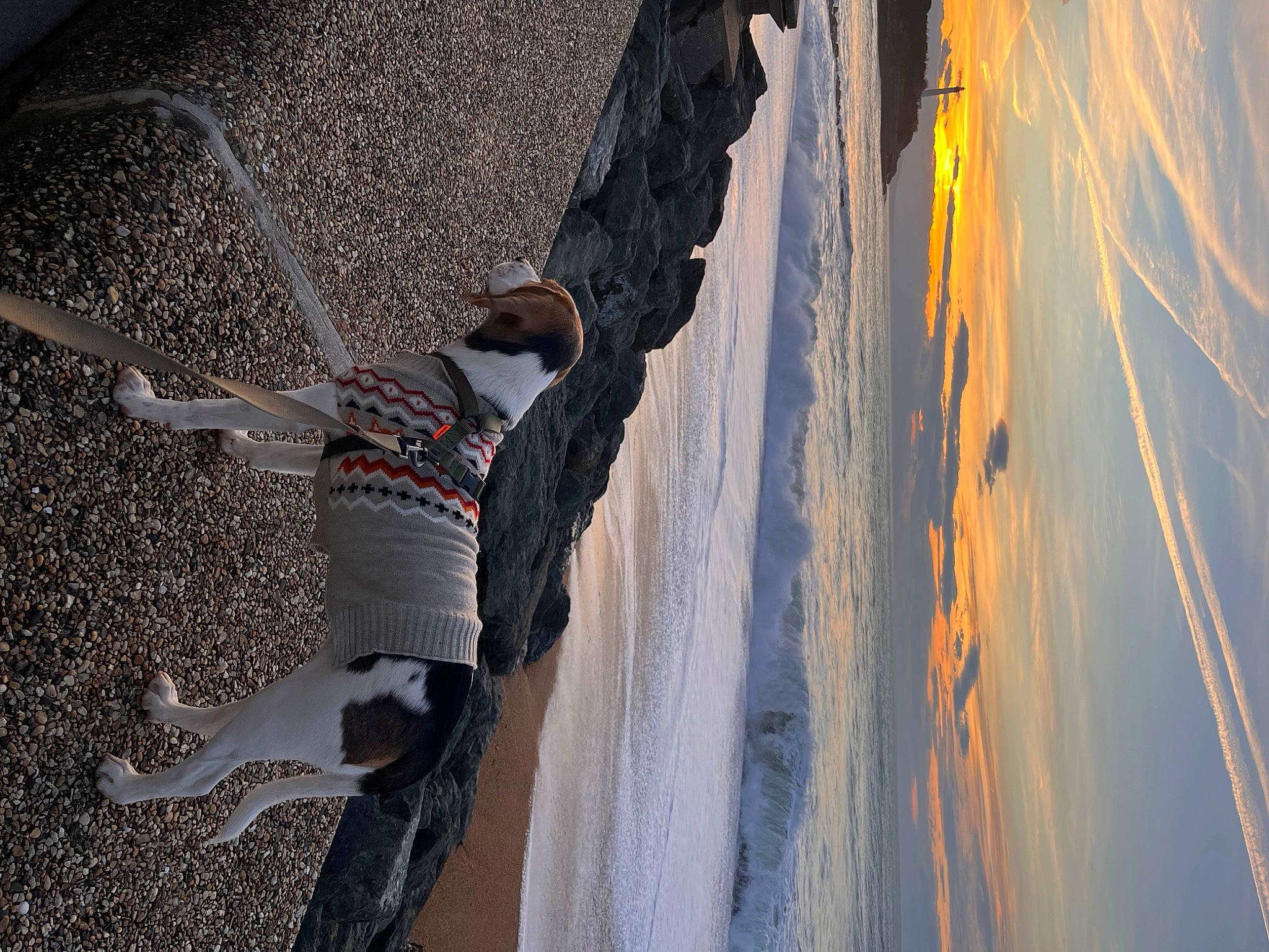 Lilo a rejoint le concours — aidez-le/la à gagner de superbes lots ! asphalt, automotive_tire, beach, cloud, concrete, landscape, pedestrian, reflection, road_surface, shadow, sidewalk, sky, tints_and_shades, tire, trunk, wall, water, winter, wire, wood