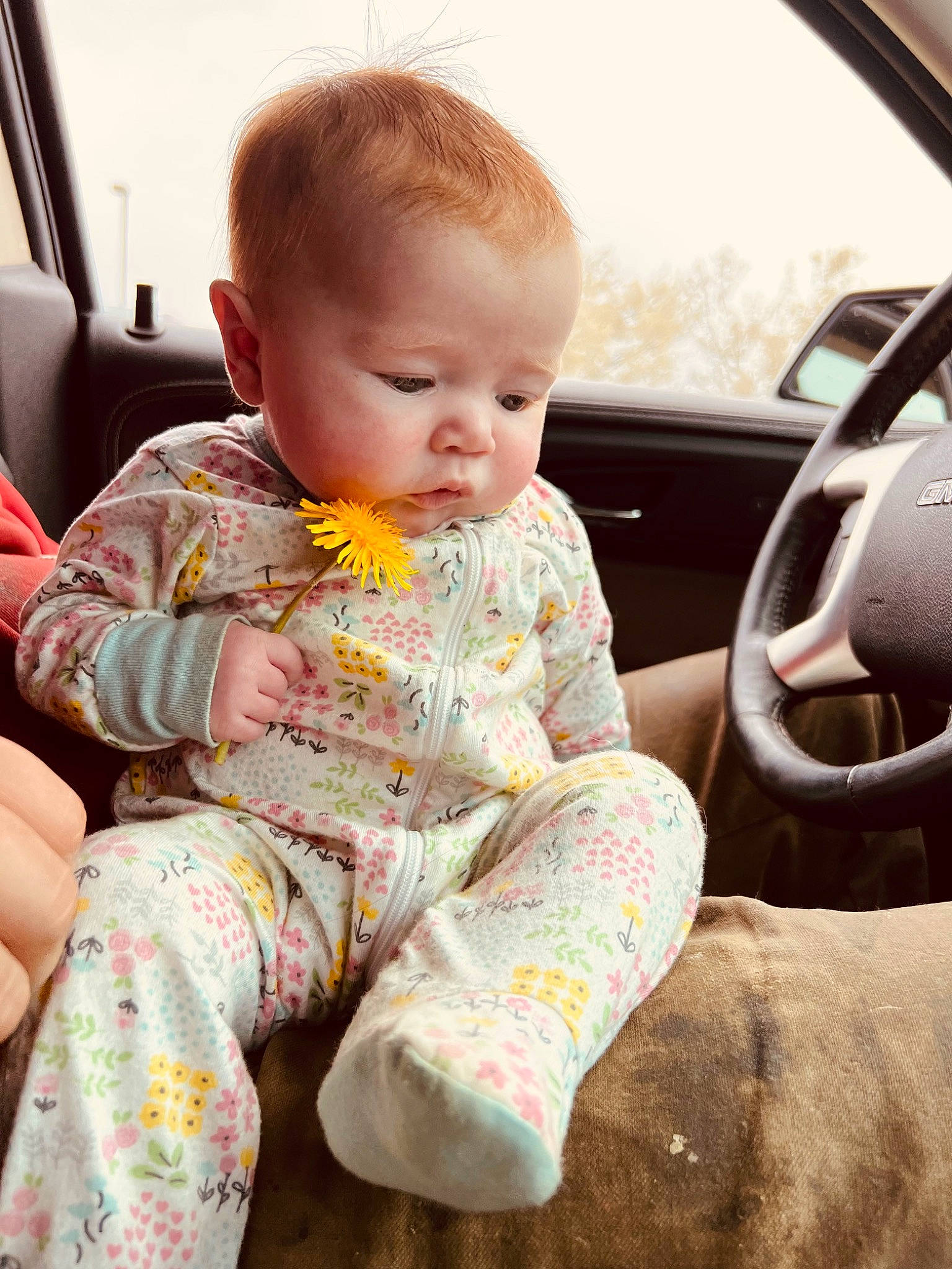 Mackenzie joined the competition — help win amazing prizes! arm, automotive_design, automotive_exterior, baby, baby_toddler_clothing, car, car_seat, cheek, comfort, finger, human_body, mammal, motor_vehicle, person, plant, product, skin, sleeve, toddler, vehicle_door