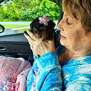 Paisley Grace joined the competition — help win amazing prizes! affection, blanket, blue_shirt, car_interior, close_up, cozy, cute, dog, flower_accessory, greenery, hand, holding, love, nature, pet, pink_blanket, portrait, puppy, window, woman