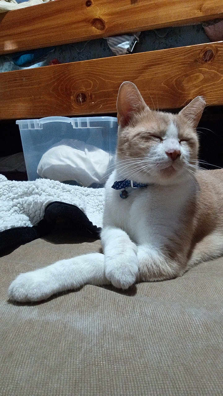 Oliver