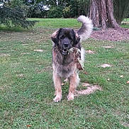 Finka participe au concours pour gagner de l'argent avec cette photo :