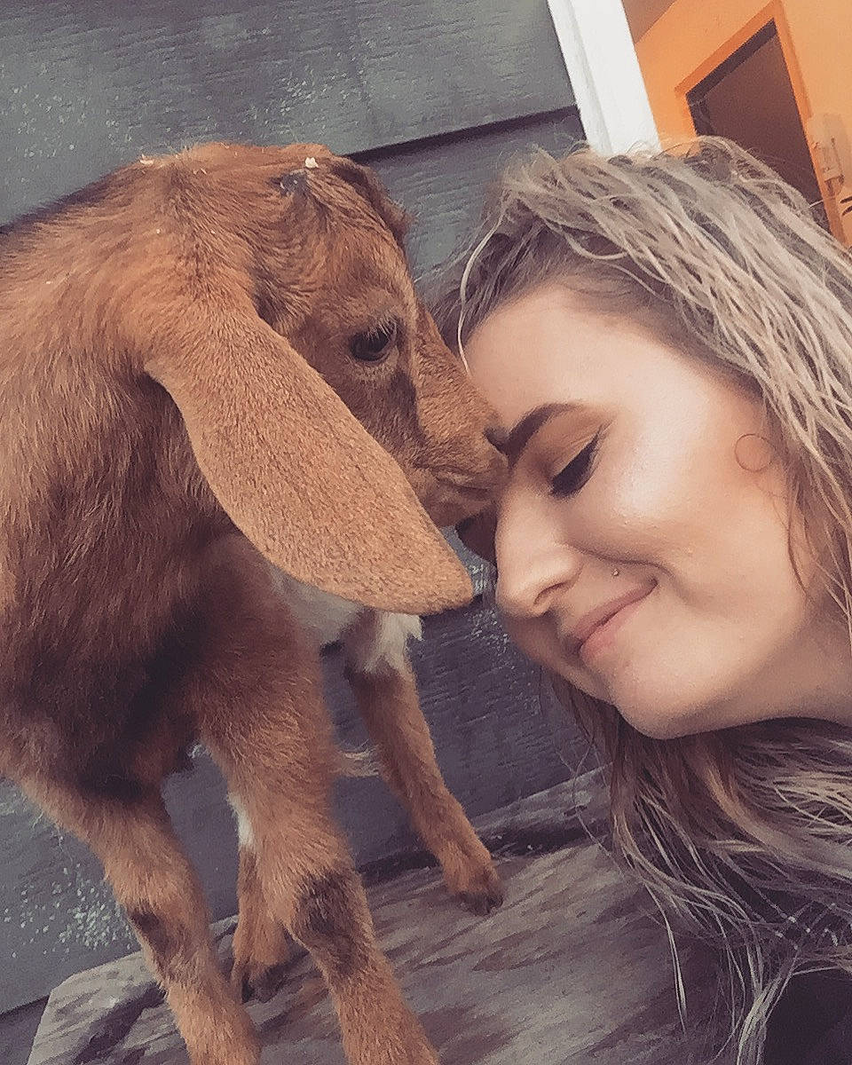 Hank joined the competition — help win amazing prizes! brown_hair, eye, fawn, goats, nose, person, photography, selfie, skin, smile, snout, working_animal