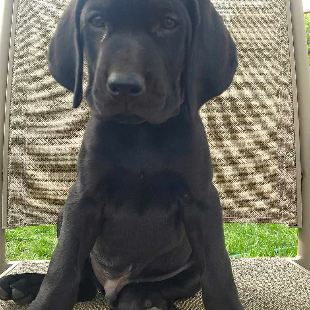 Axel