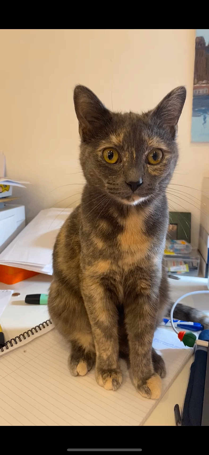 Tilly