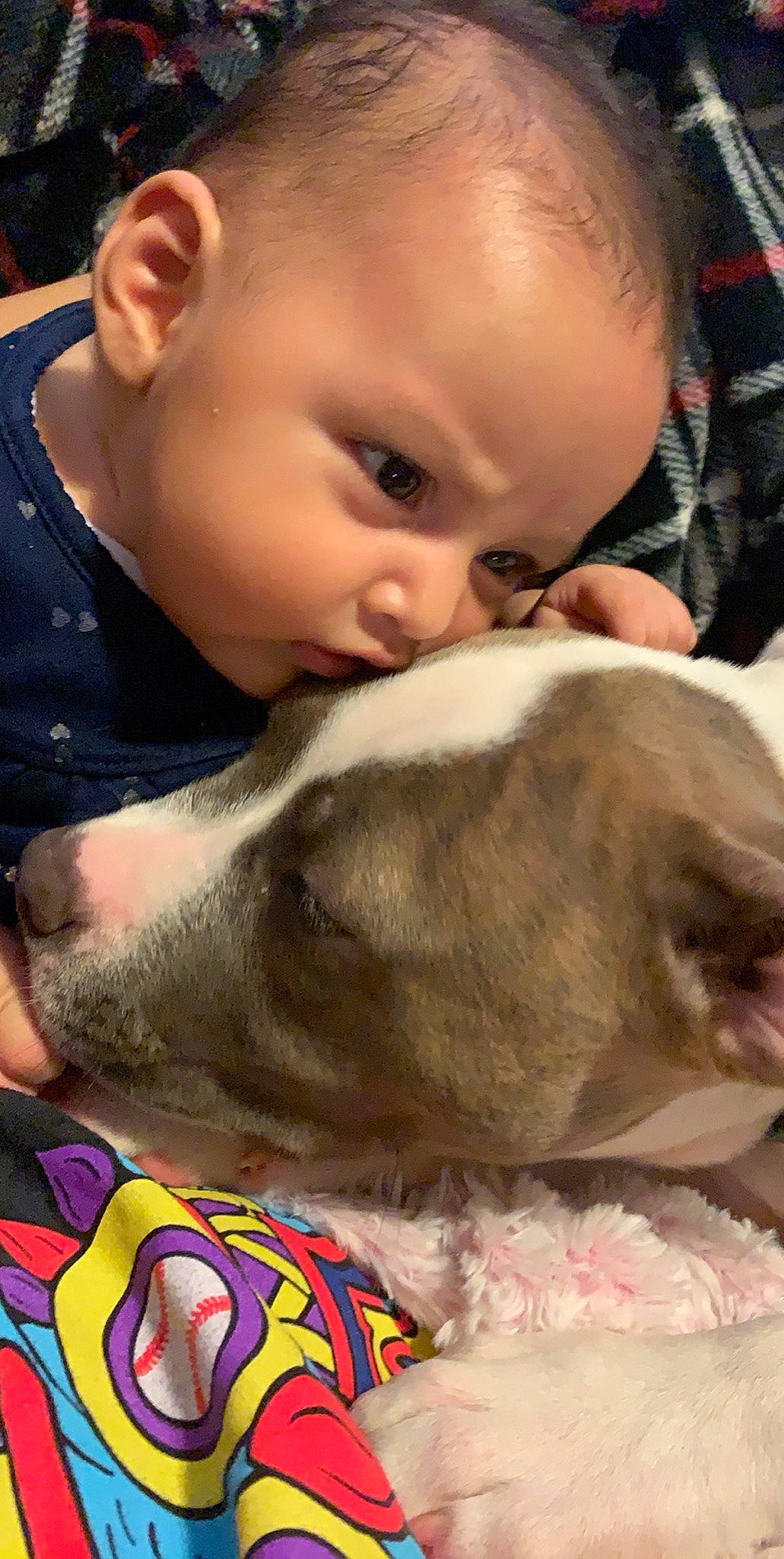 Riverlynn joined the competition — help win amazing prizes! american_pit_bull_terrier, baby, canidae, carnivore, cheek, child, companion_dog, dog, dog_breed, ear, fawn, head, nap, nose, person, pit_bull, puppy_love, skin, snout, toddler