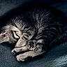 kitten, cat, sleeping, curled_up, tabby, furry, pet, animal, cute, peaceful, cozy, blanket, indoors, close_up, portrait, paws, whiskers, striped_fur, resting, nap