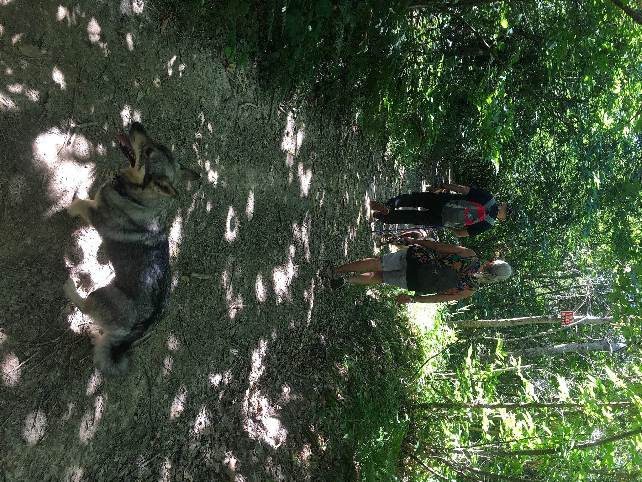 Lolotte a rejoint le concours — aidez-le/la à gagner de superbes lots ! shadow