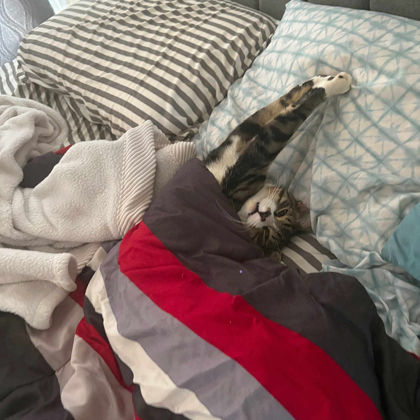 Milo