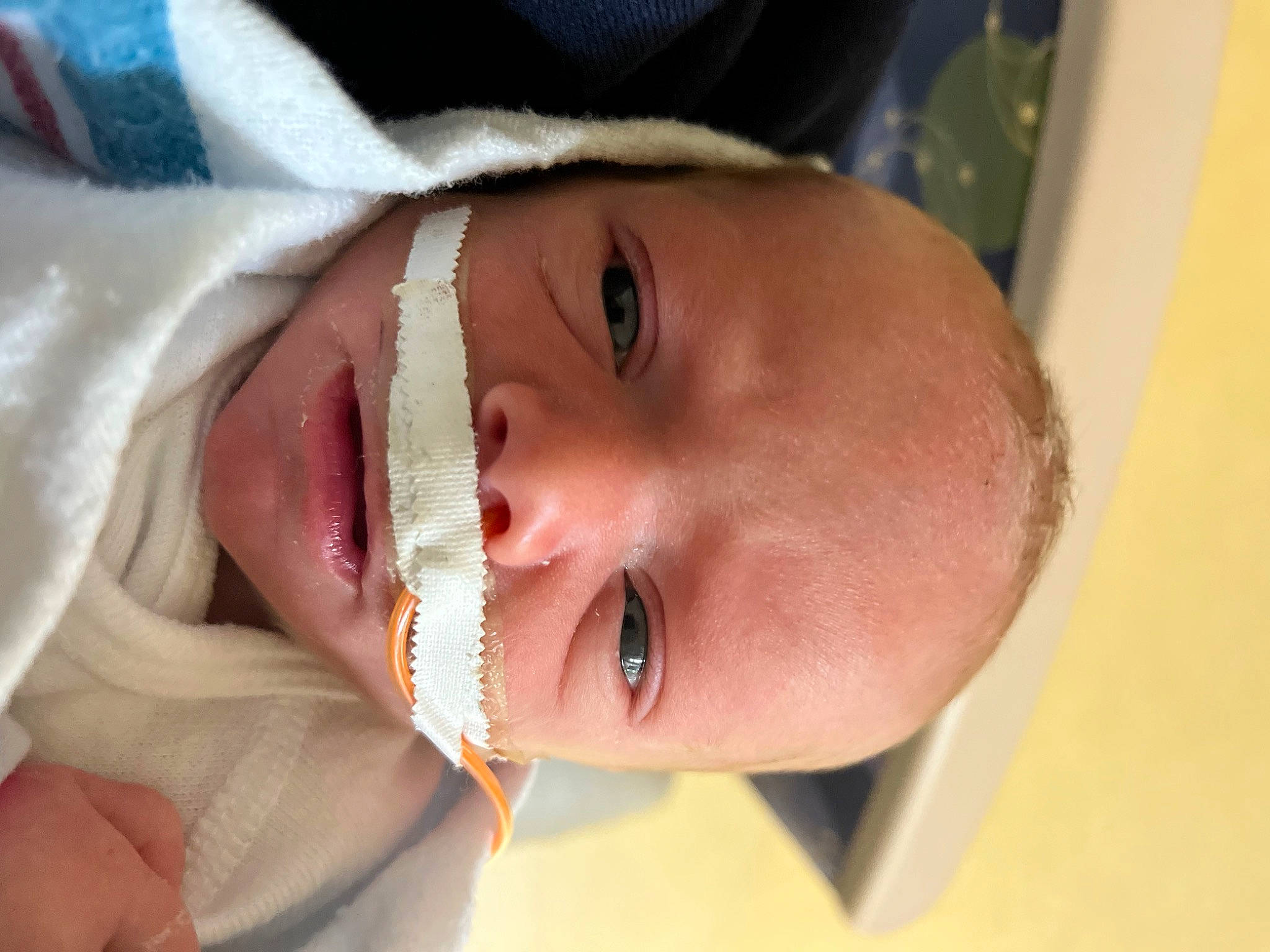 Garrett is registered to the contest to win money with this photo: cheek, chin, ear, eye, eyebrow, eyelash, face, facial_expression, forehead, hair, hairstyle, head, jaw, lip, mammal, mouth, neck, nose, person, skin