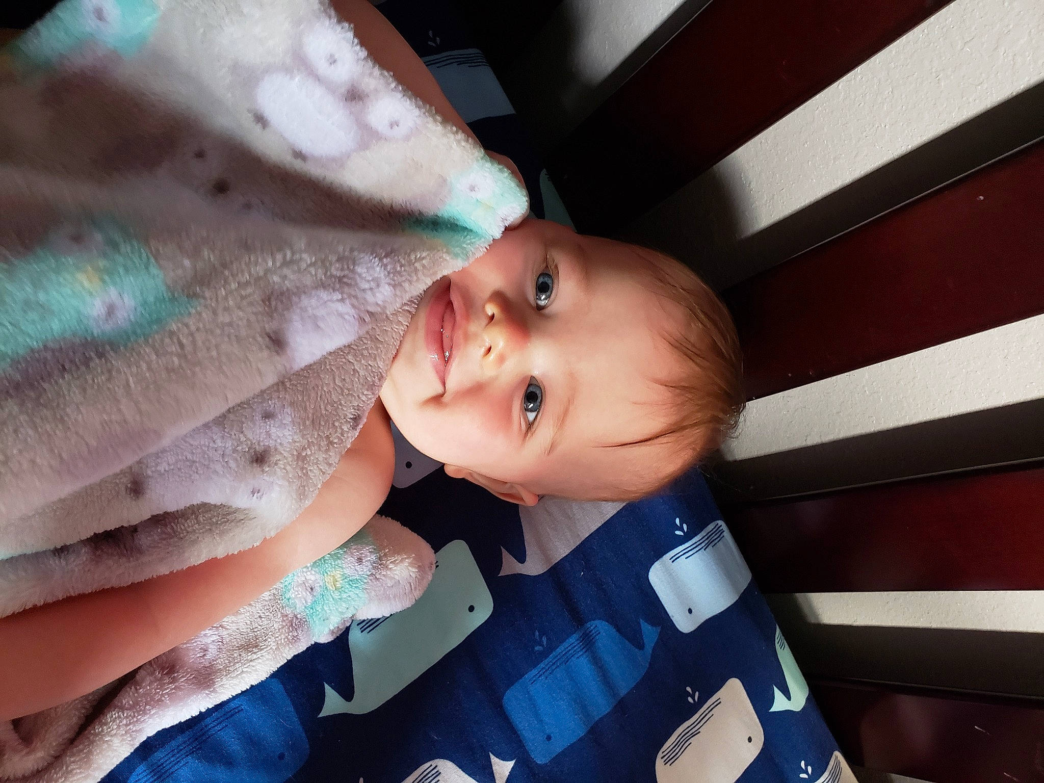 Alister joined the competition — help win amazing prizes! baby, beauty, cheek, child, cool, ear, eye, face, finger, hand, head, mouth, nose, person, selfie, skin, smile, toddler