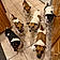 Jackpack