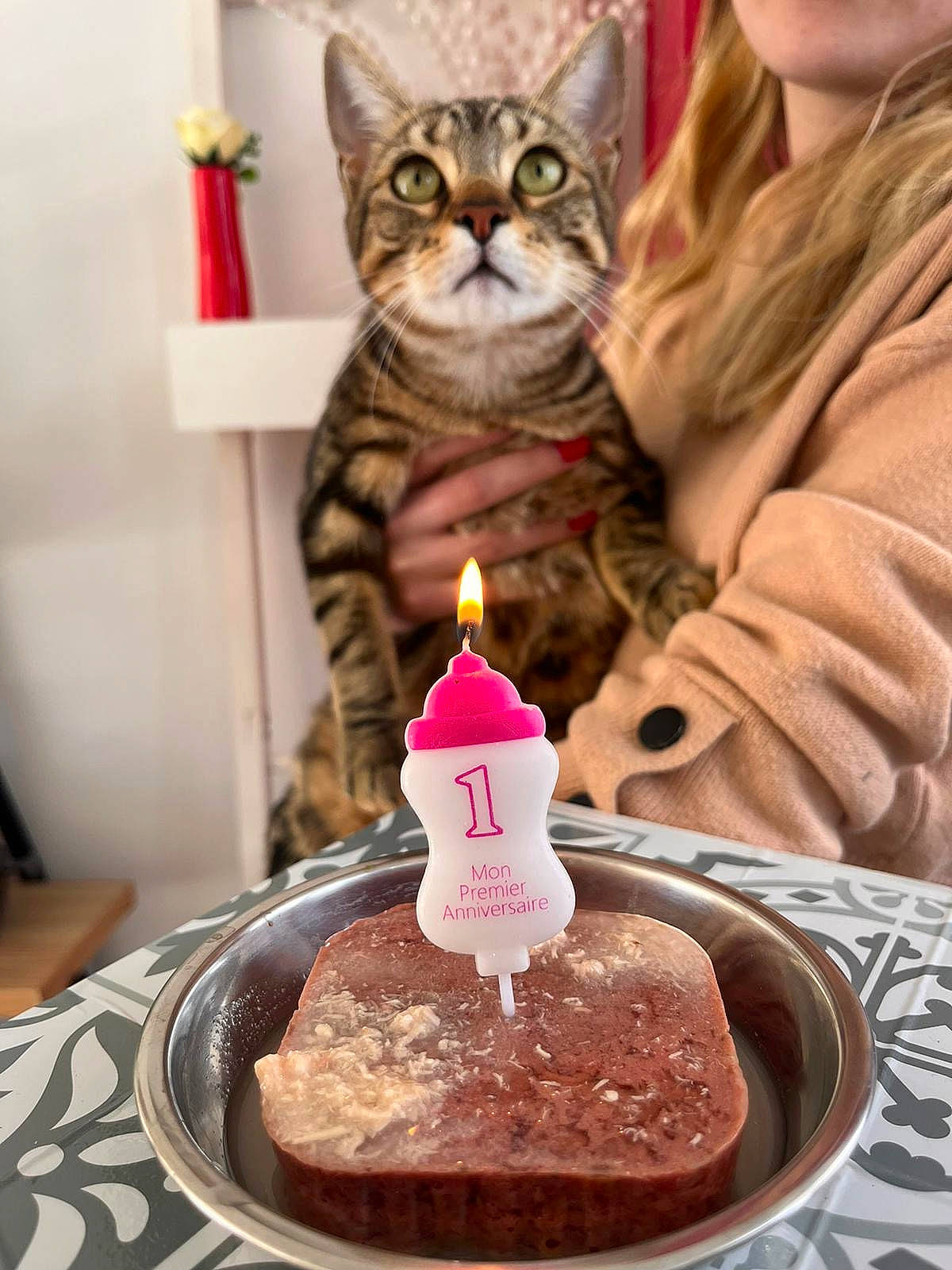 Pistache participe au concours pour gagner de l'argent avec cette photo : baked_goods, baking, birthday, birthday_cake, birthday_candle, buttercream, cake, cake_decorating, cake_decorating_supply, candle, cat, dessert, felidae, food, ingredient, kuchen, plant, sugar_cake, tableware, tree