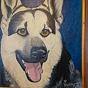 Charger is registered to the contest to win money with this photo: artist_signature, artwork, blue_background, canine, closeup, dog, ears, eyes, framed, fur, happy, k9, muzzle, nose, painting, plaque, police_dog, portrait, smile, tongue_out