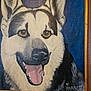 artist_signature, artwork, blue_background, canine, closeup, dog, ears, eyes, framed, fur, happy, k9, muzzle, nose, painting, plaque, police_dog, portrait, smile, tongue_out