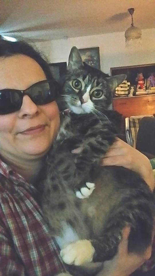 Poussy a rejoint le concours — aidez-le/la à gagner de superbes lots ! american_shorthair, asian, black_hair, carnivore, cat, cool, domestic_short_haired_cat, eye, eyewear, face, felidae, fur, glasses, hair, head, long_hair, photography, selfie, small_to_medium_sized_cats, whiskers