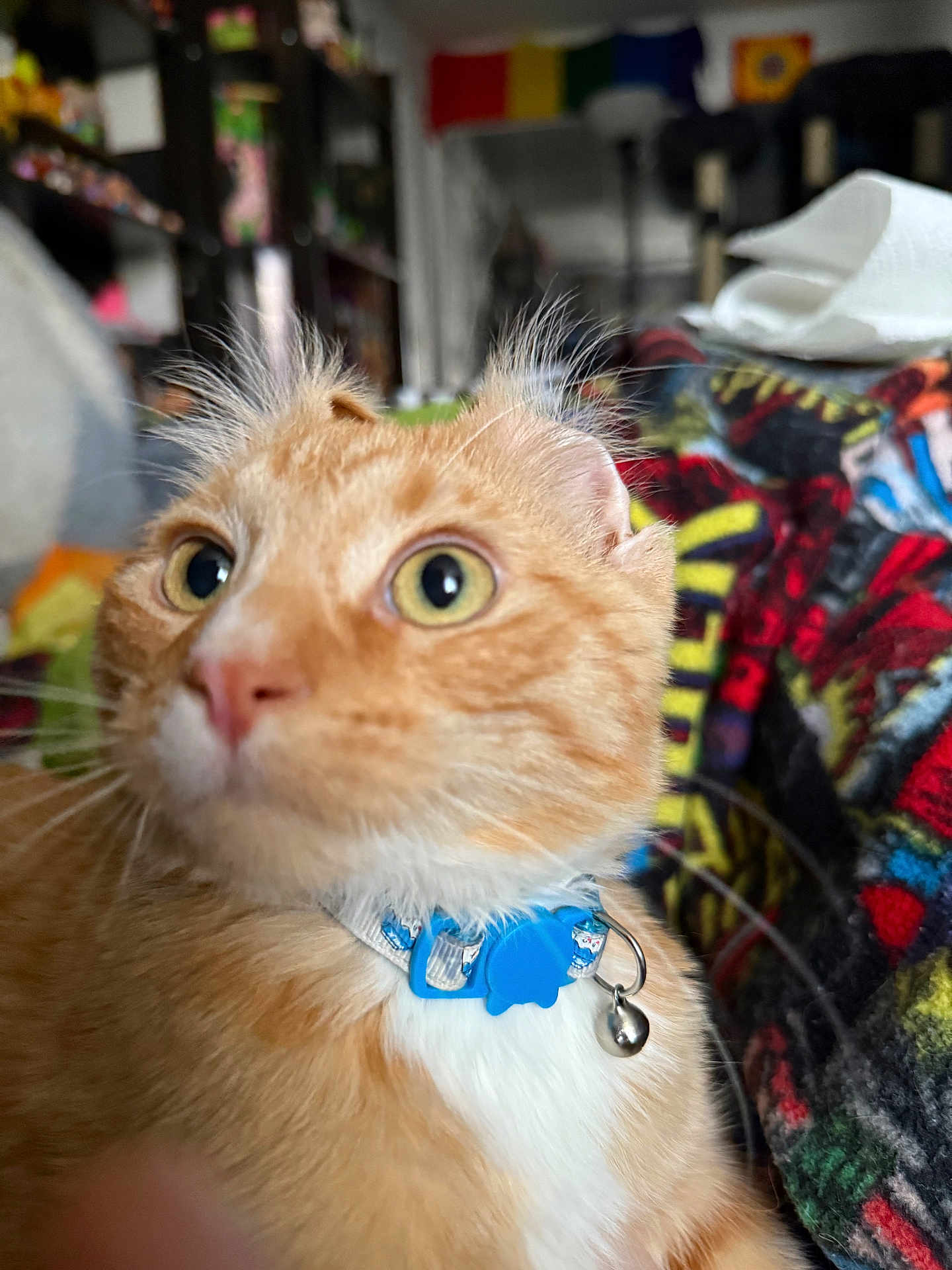 Merlin