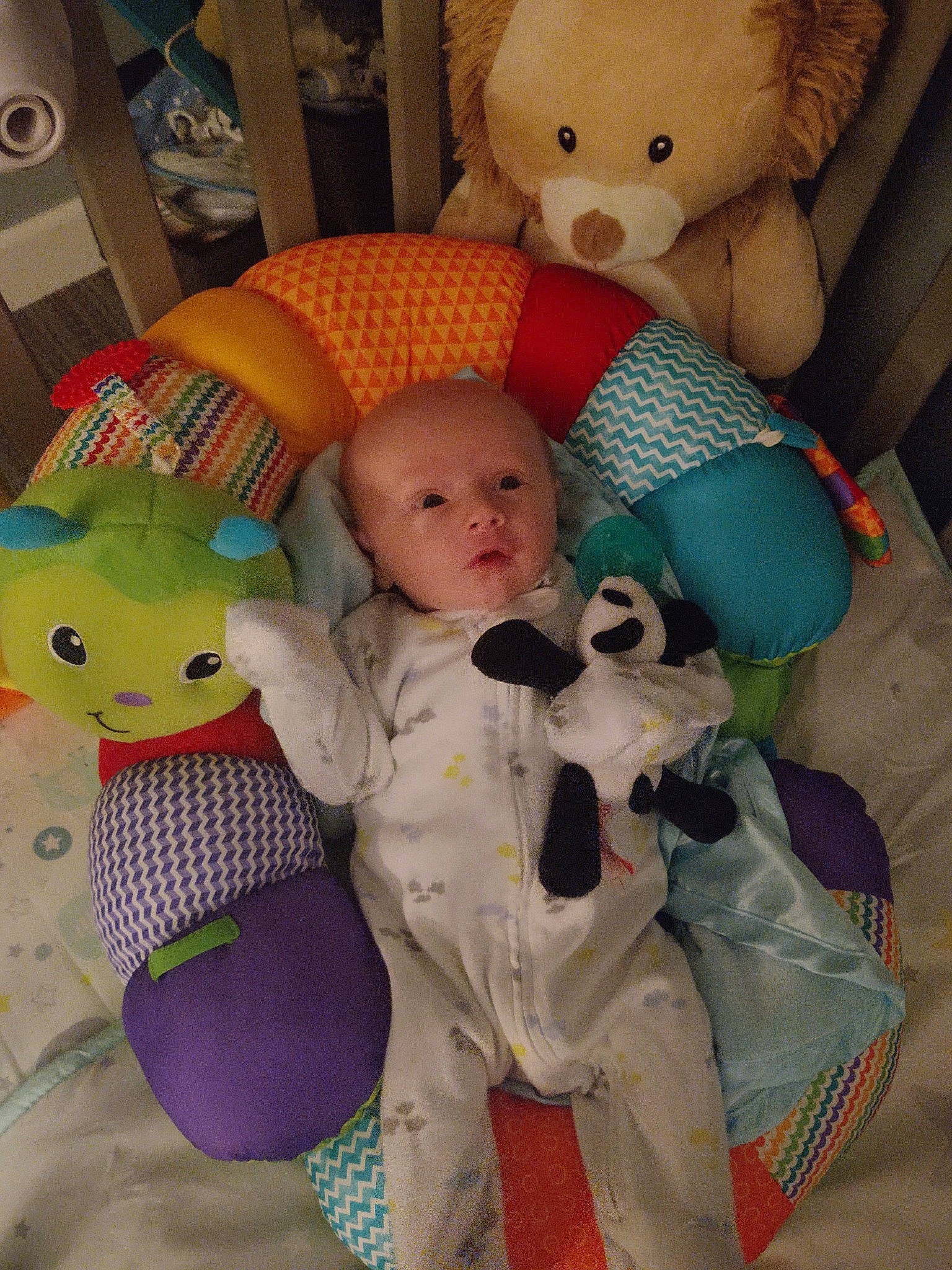 Cayde is registered to the contest to win money with this photo: baby, baby_products, baby_toys, child, person, play, plush, product, stuffed_toy, teddy_bear, toddler, toy