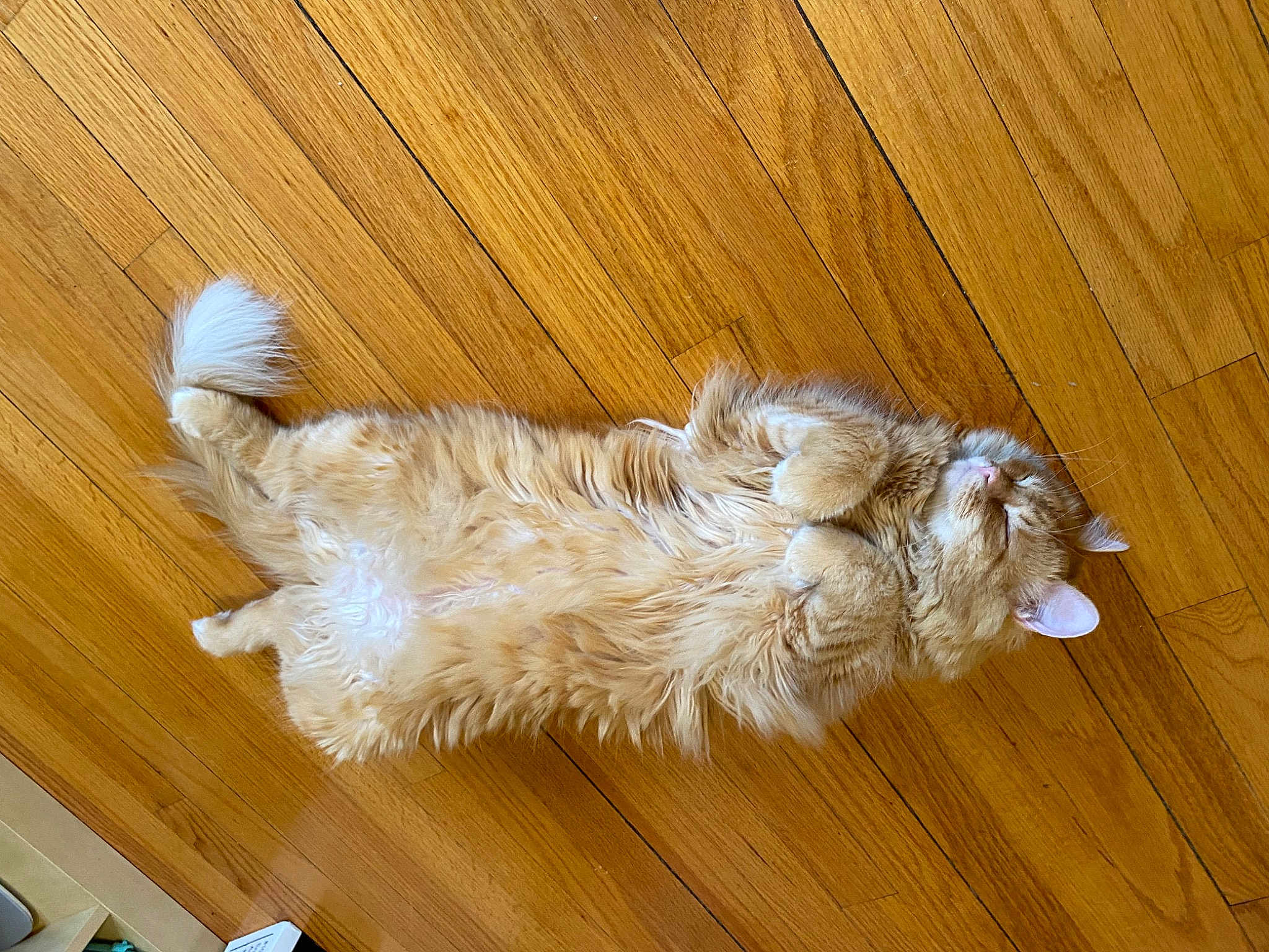 Nala