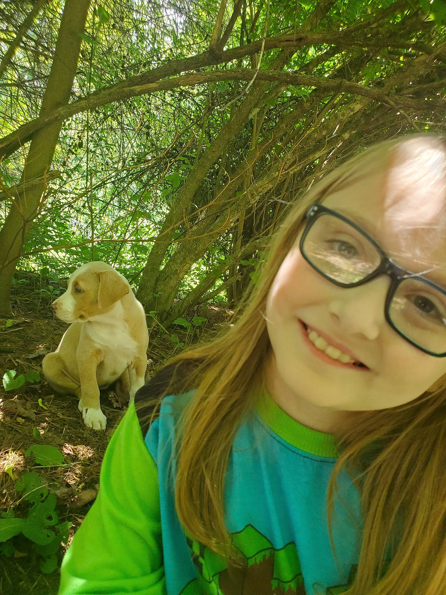 Arya joined the competition — help win amazing prizes! botany, carnivore, companion_dog, dog_breed, eyewear, fawn, forest, glasses, grass, green, happy, joy, leaf, leisure, long_hair, people_in_nature, person, selfie, smile, sunlight