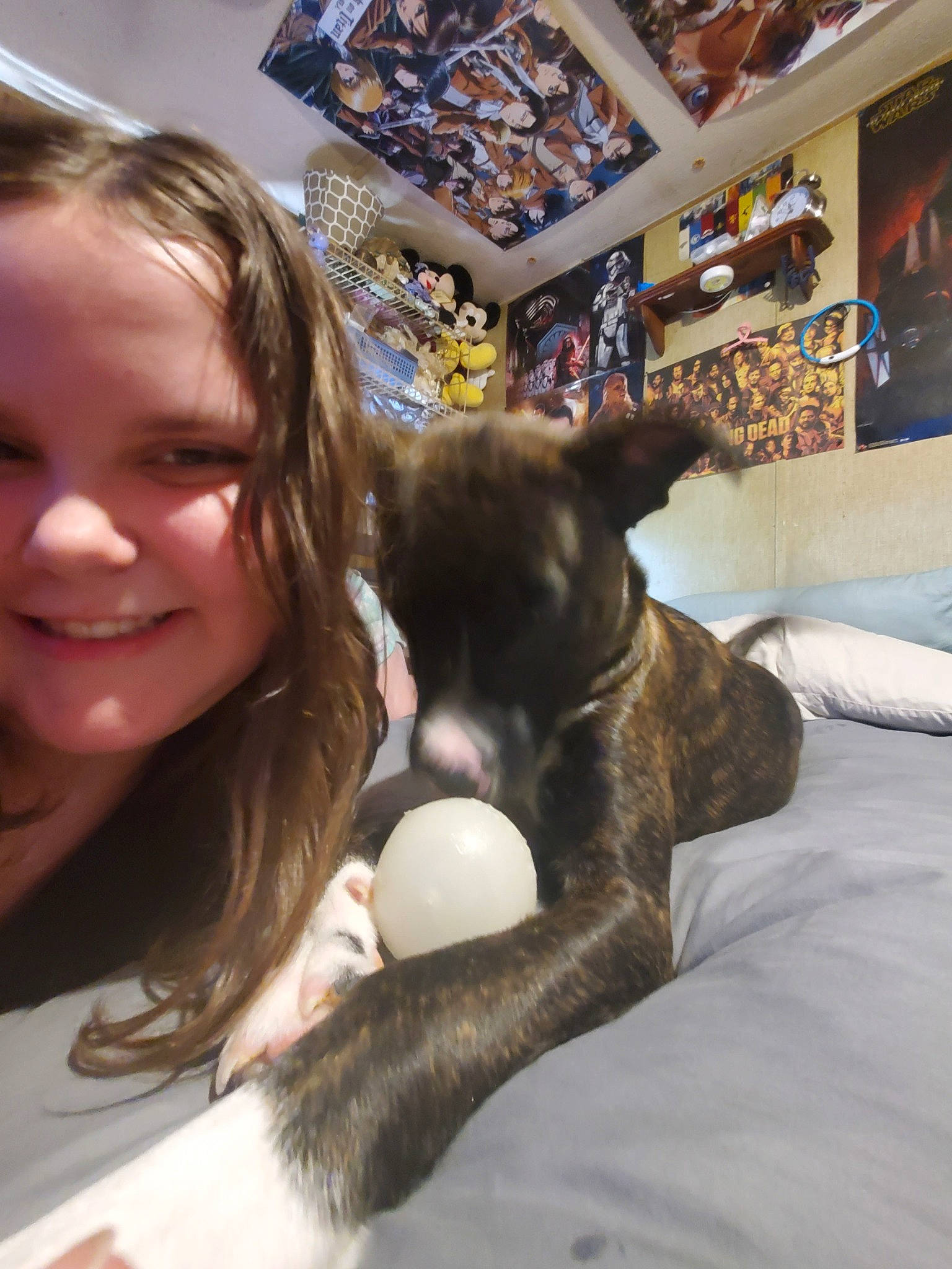 Natannjah is registered to the contest to win money with this photo: carnivore, child, comfort, companion_dog, dog, dog_breed, ear, fawn, felidae, fun, fur, joy, leisure, mammal, person, small_to_medium_sized_cats, smile, snout, tableware, toy