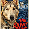 dog, husky, sled_dog, canine, animal, winter, snow, forest, illustration, poster, vintage, movie_poster, dramatic, portrait, close_up, blue_tones, snowy_landscape, film_title, outdoor, adventure