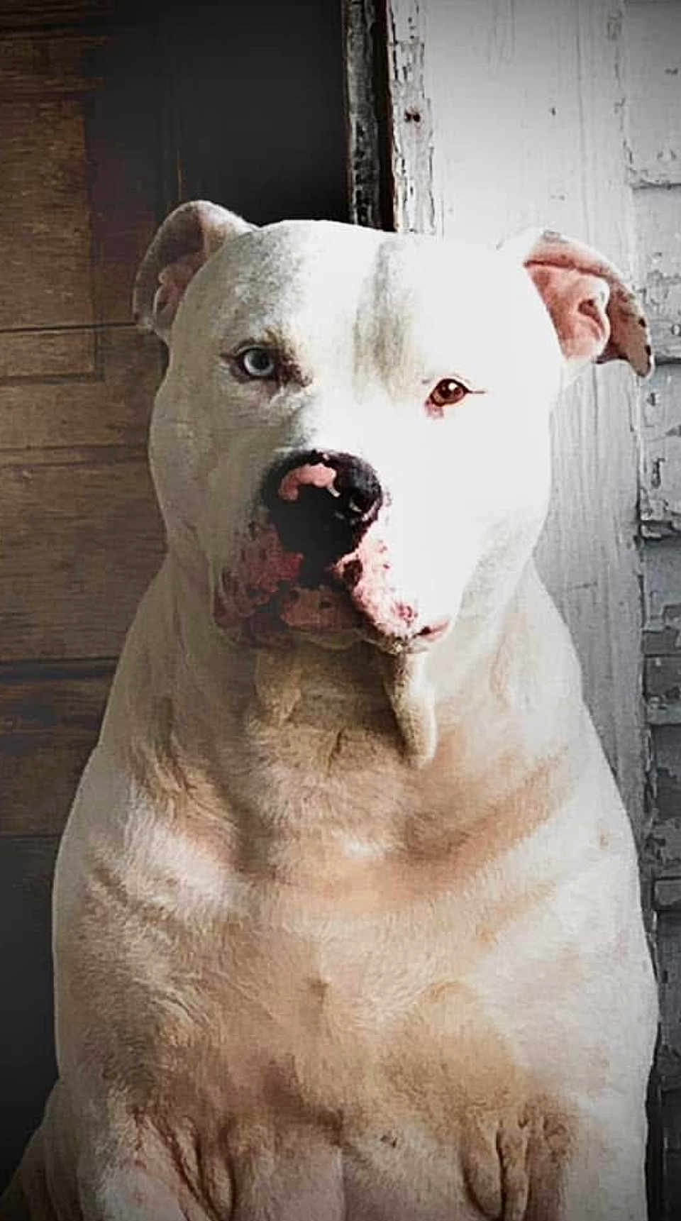 Outlaw