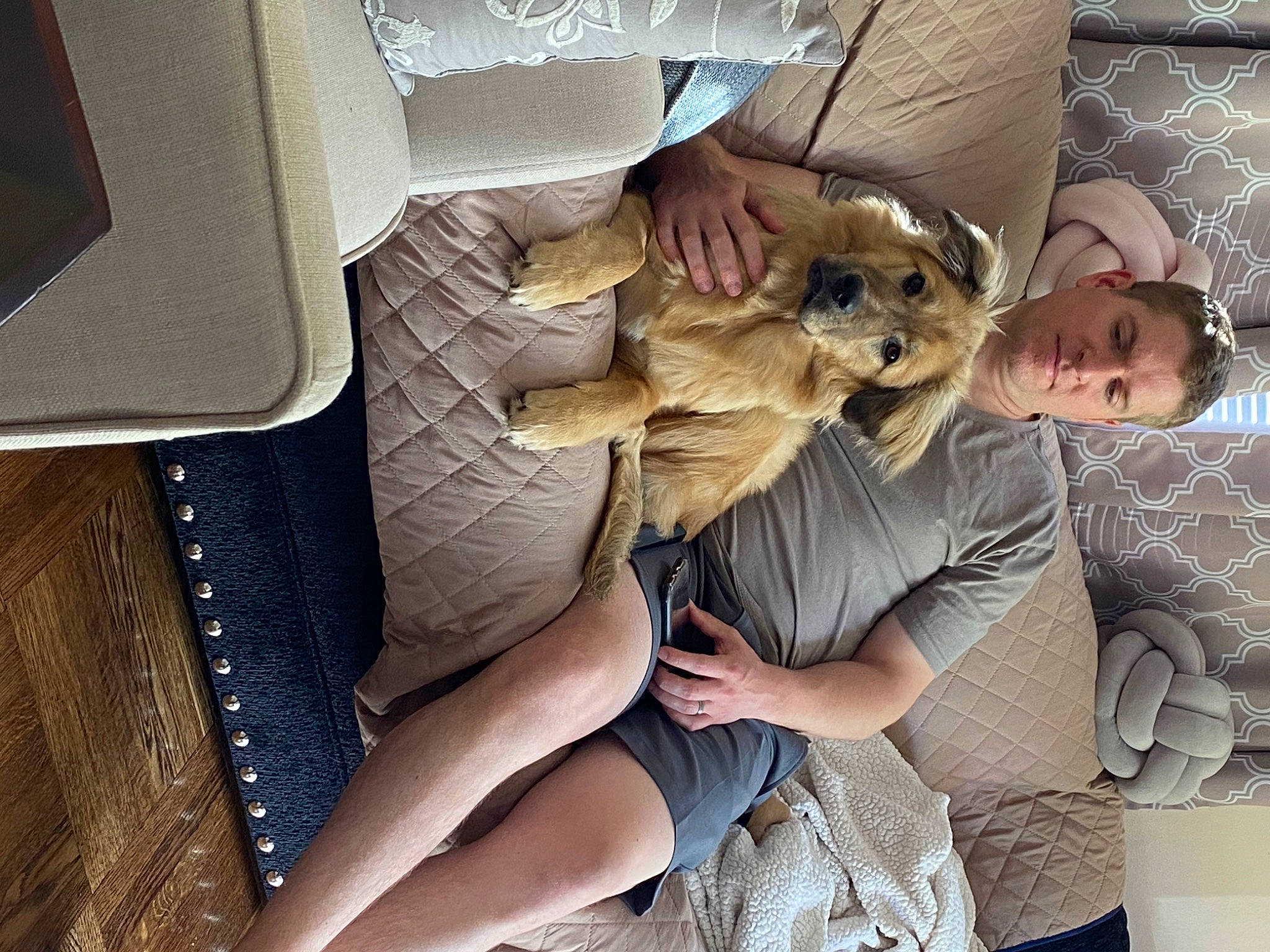 Shelby Sigmund is registered to the contest to win money with this photo: canidae, carnivore, comfort, companion_dog, dog, fawn, human, leg, puppy, puppy_love, selfie