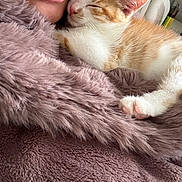 Crunchy joined the competition — help win amazing prizes! cat, kitten, ginger_cat, white_cat, sleeping, cuddling, person, face, nose, whiskers, paw, fur, fluffy_blanket, pink_blanket, cozy, indoors, close_up, pet, adorable, relaxing