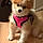 Nala Peairs