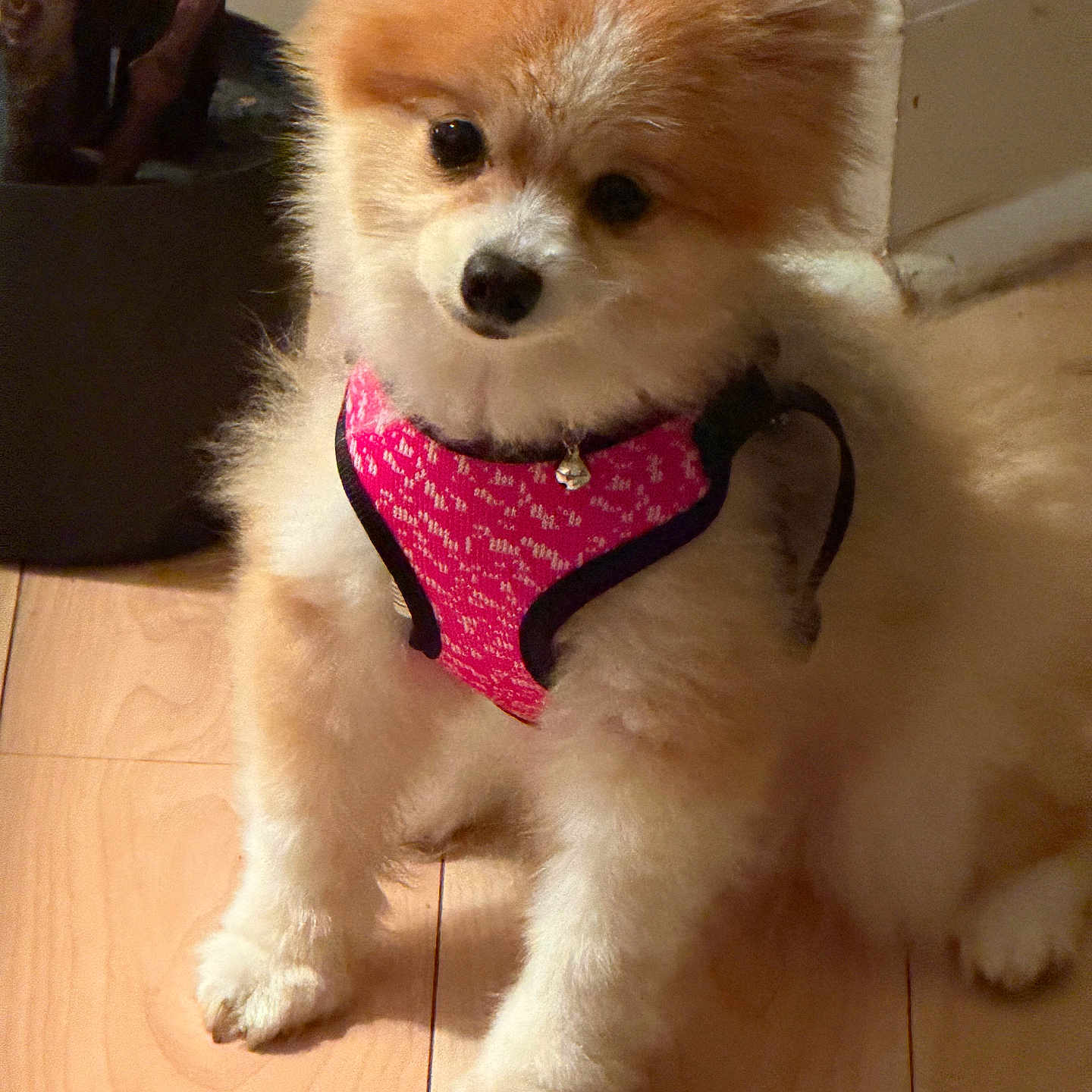 Nala Peairs