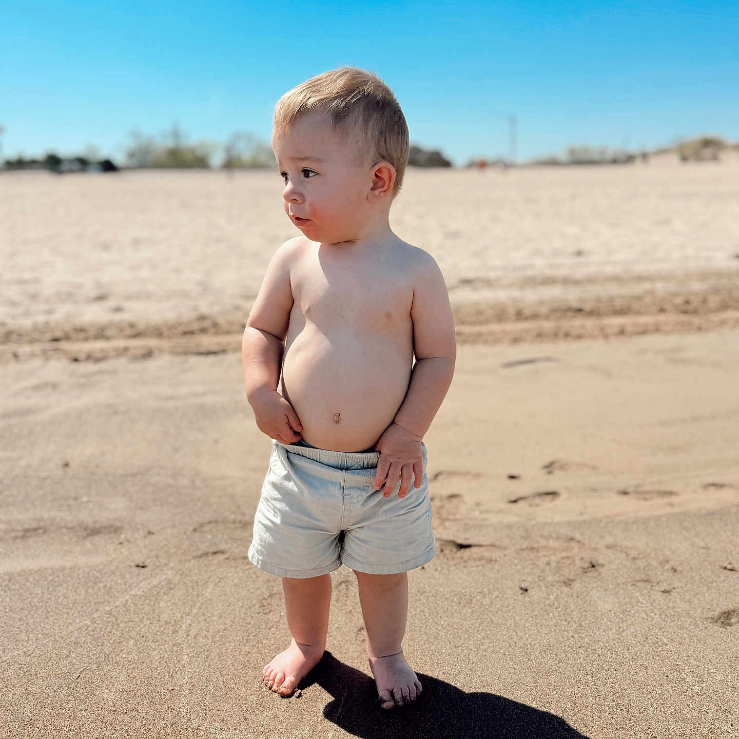 Bodhi