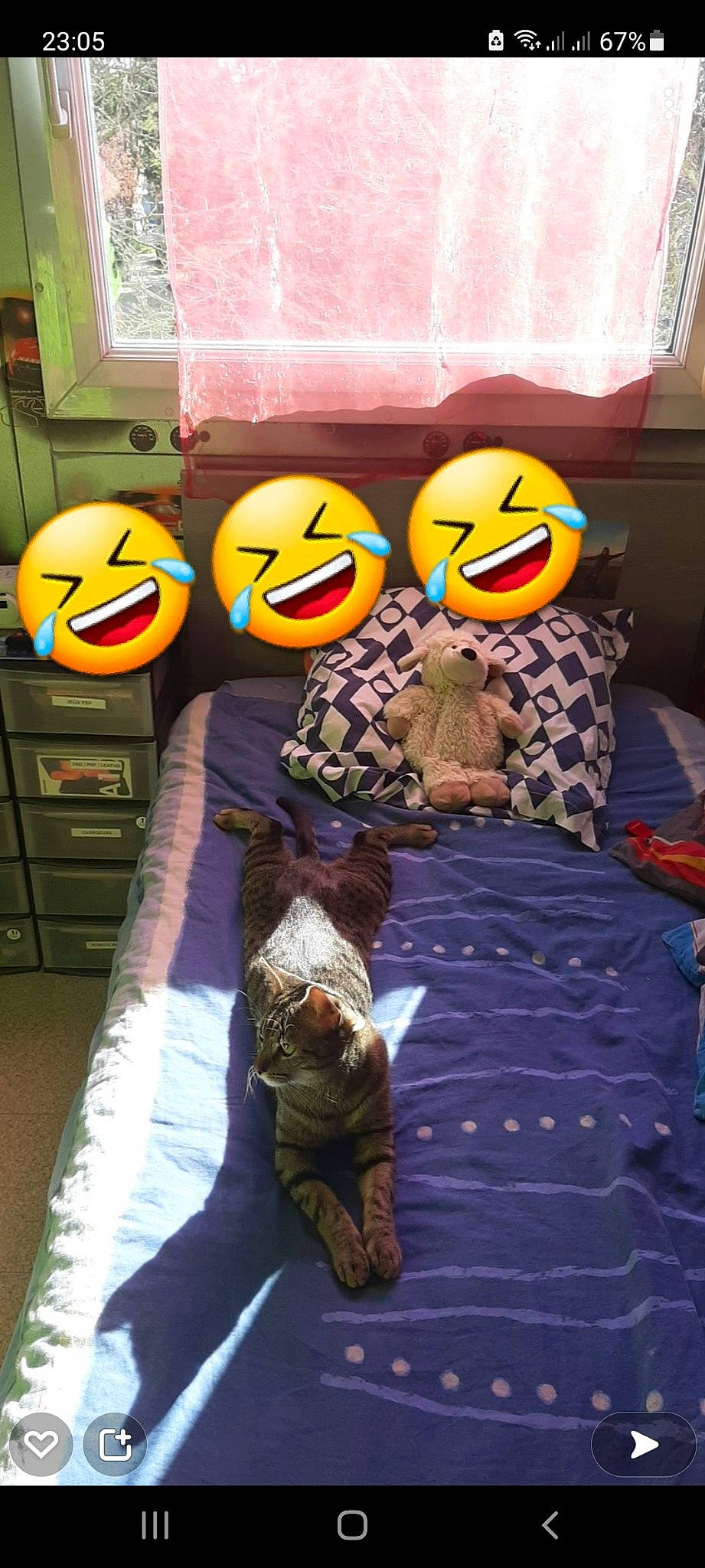 Pichu participe au concours pour gagner de l'argent avec cette photo : art, black, calabaza, cucurbita, emoticon, floor, flooring, gourd, jack_o_lantern, orange, plant, pumpkin, purple, room, snapshot, stuffed_toy, trick_or_treat, vegetable, winter_squash, yellow