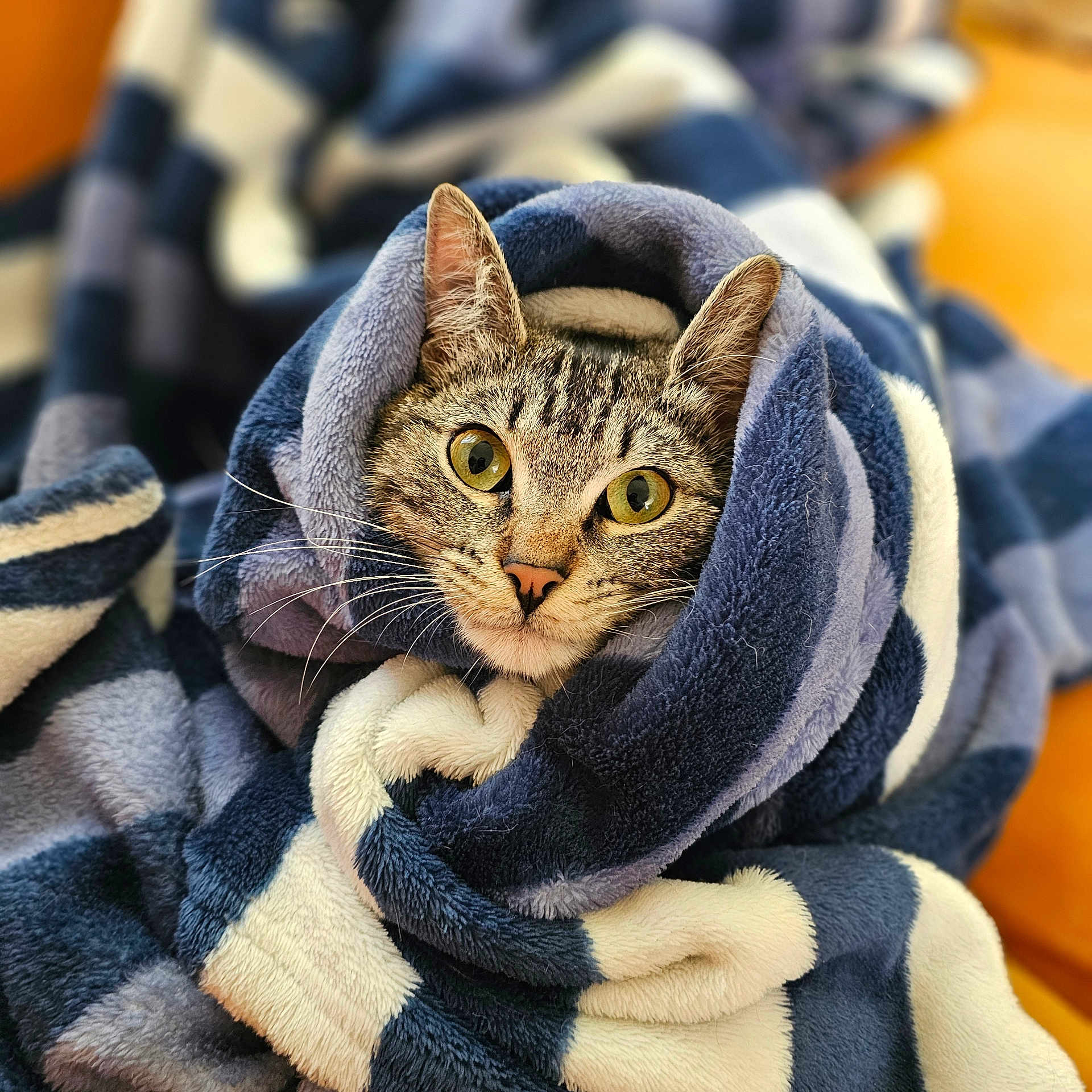 Bebezinho