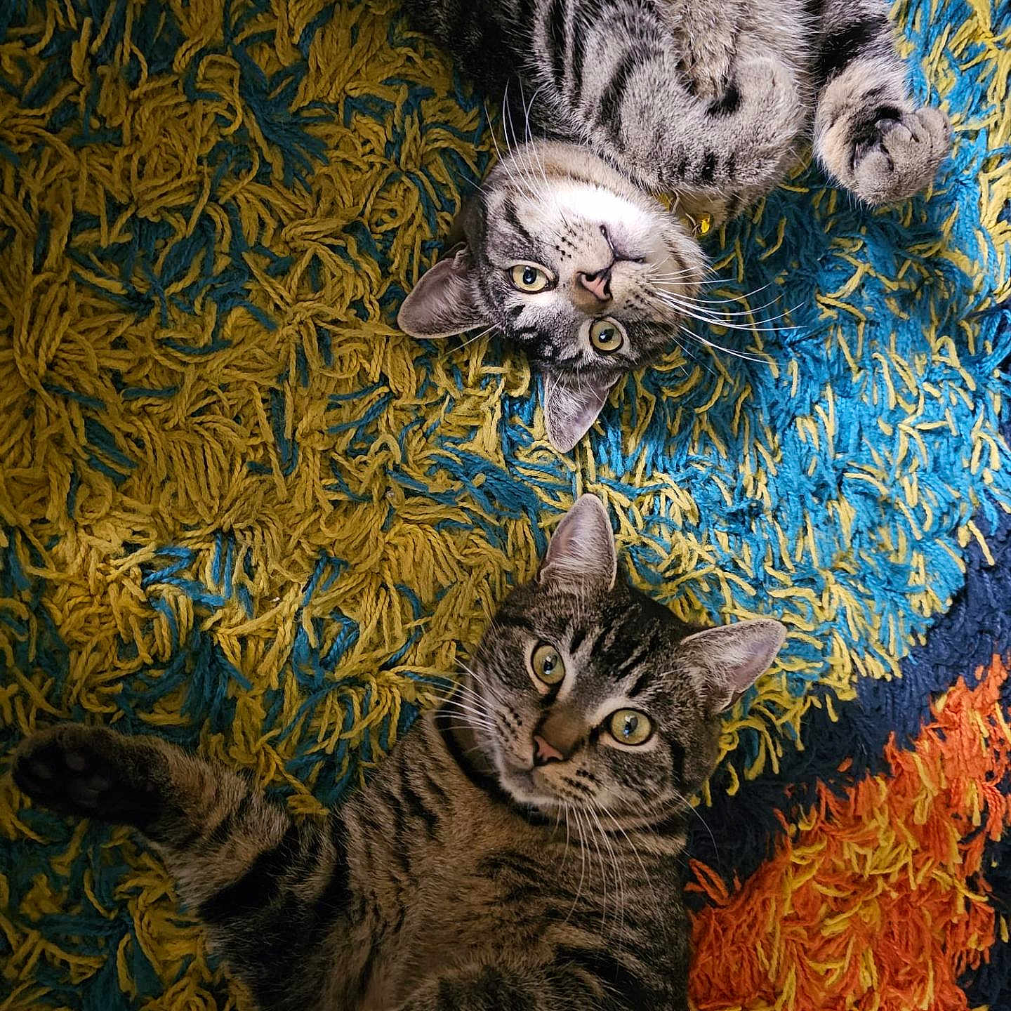 Azul And Yellow