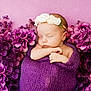 baby, newborn, sleeping, flower_headband, purple_blanket, purple_flowers, pink_background, peaceful, wrapped, infant, cute, soft_texture, portrait, closeup, adorable, resting, baby_boy, baby_girl, tender, calm