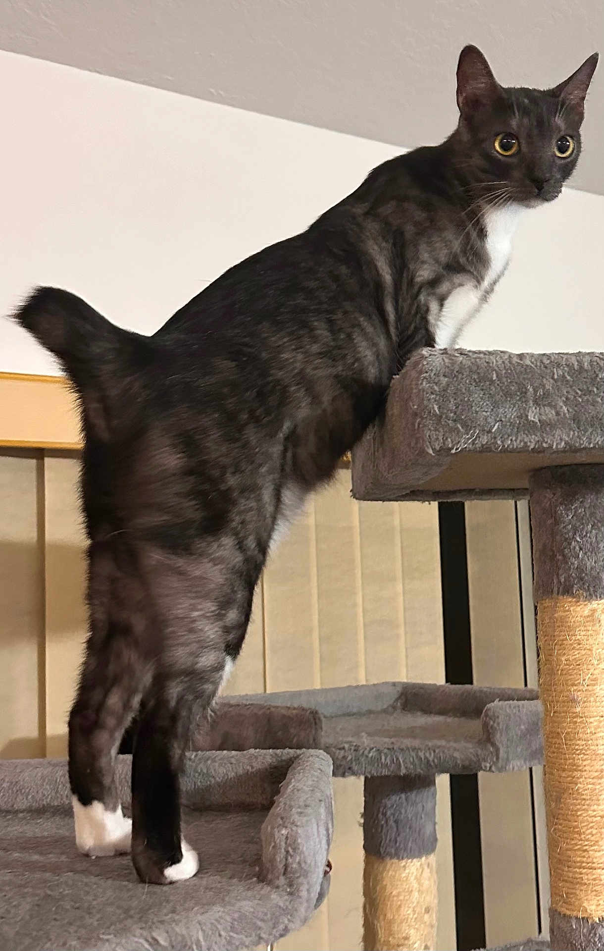 Pixel