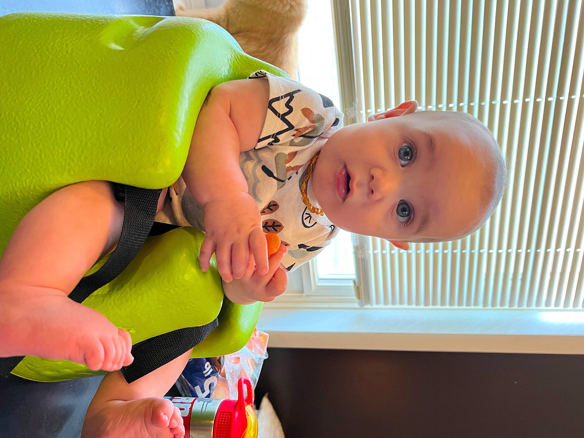 Hayden joined the competition — help win amazing prizes! abdomen, baby, baby_products, baby_safety, baby_toddler_clothing, chest, child, comfort, elbow, fun, happy, human_body, joint, knee, leisure, person, smile, surprise, thigh, toddler