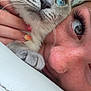 Nala joined the competition — help win amazing prizes! cat, blue_eyes, person, face, close_up, whiskers, nails, snuggling, pet, feline, eyelashes, nose_piercing, grey_cat, cuddle, portrait, indoor, animal, human, skin, love
