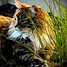 Tia is registered to the contest to win money with this photo: